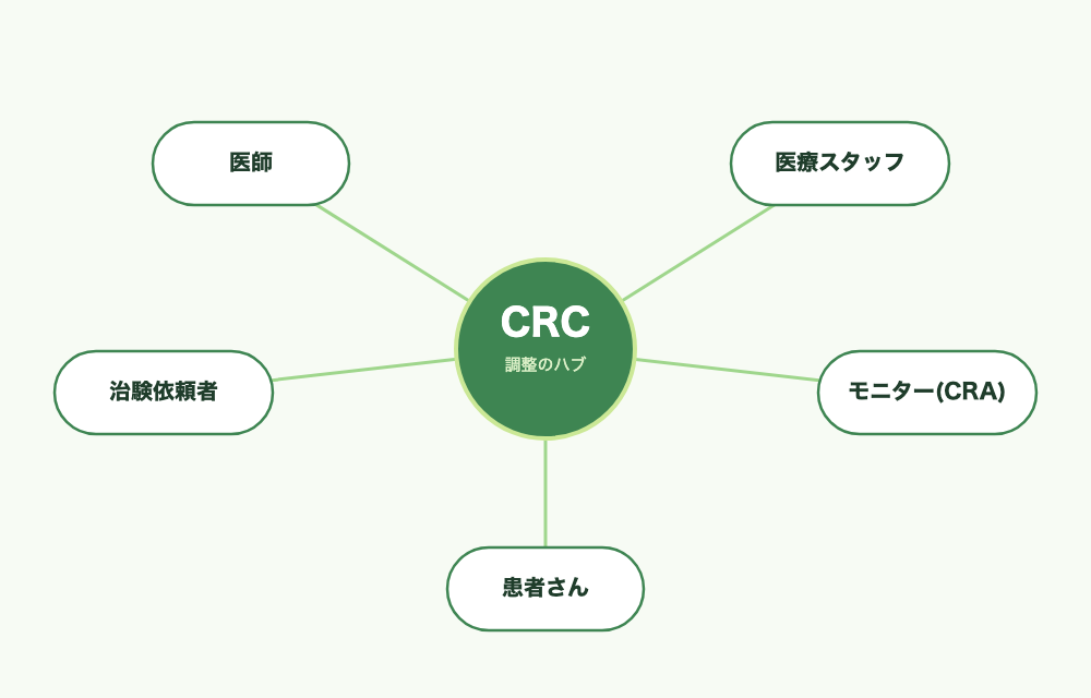 CRCは立場の違う関係者すべての“真ん中”に立つ、調整のハブ